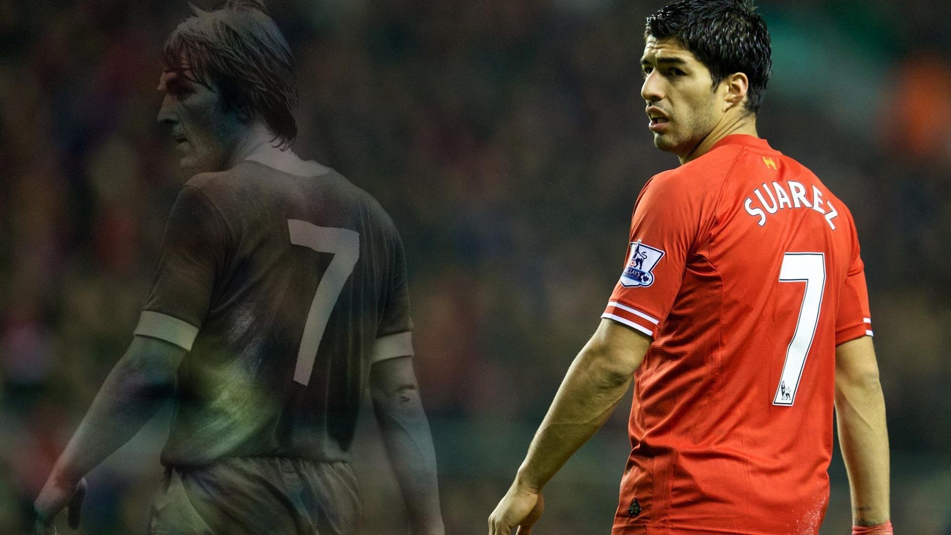 英格拉姆独舞北国森林，狼群战术撕裂东北虎最后的骄傲