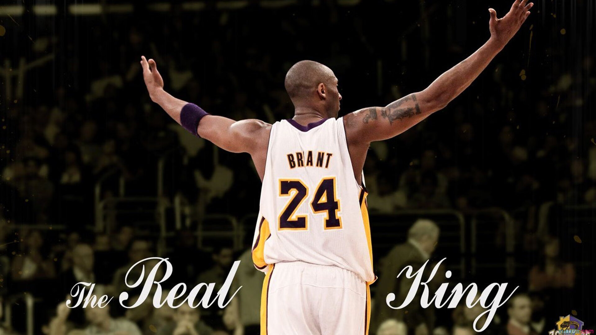 字母哥点燃赛场,当希腊神话降临NBA季后赛之夜